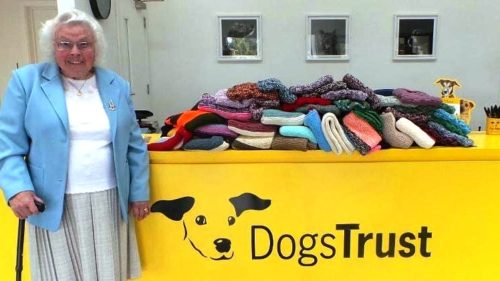 ENGLESKA: Baka isplela 450 ćebića i džempera za pse iz azila